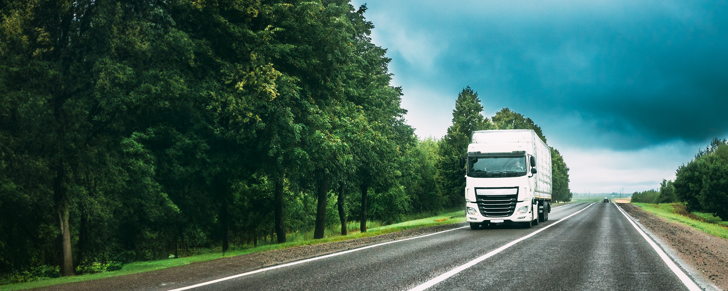 Grüne Logistik: Umweltfreundliche Transportlösungen